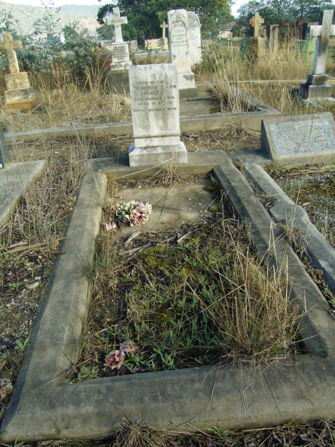 Full-size image