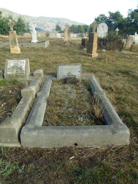Full-size image