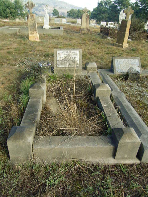 Full-size image