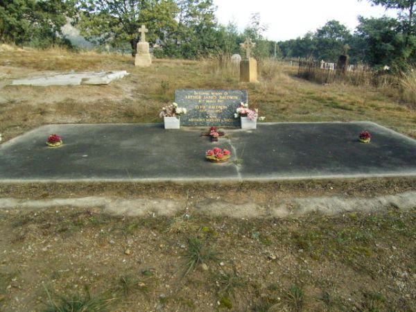 Full-size image