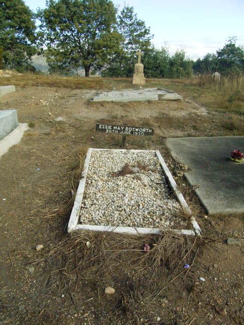 Full-size image