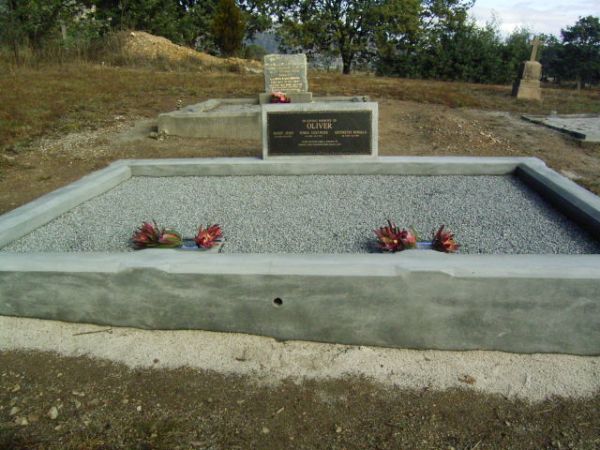 Full-size image