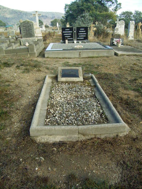 Full-size image