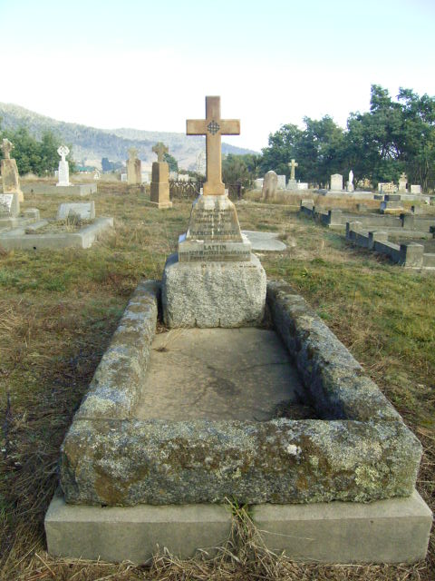 Full-size image