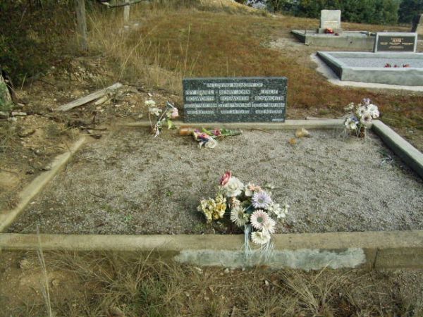 Full-size image