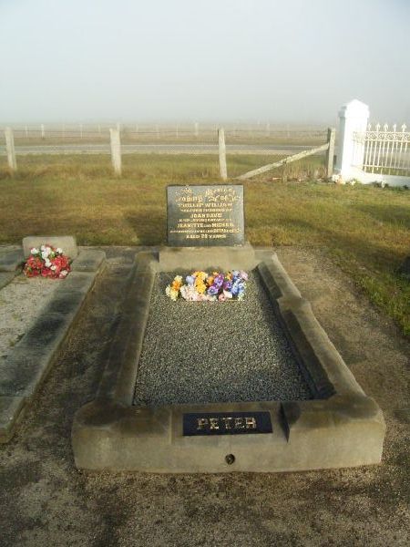 Full-size image