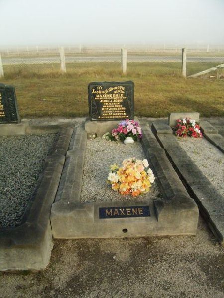 Full-size image