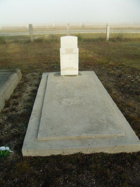 Full-size image