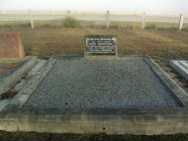 Full-size image