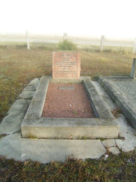 Full-size image