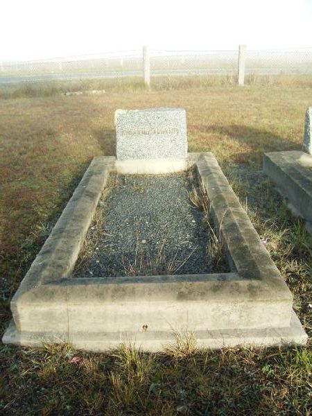Full-size image