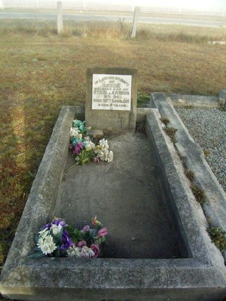 Full-size image