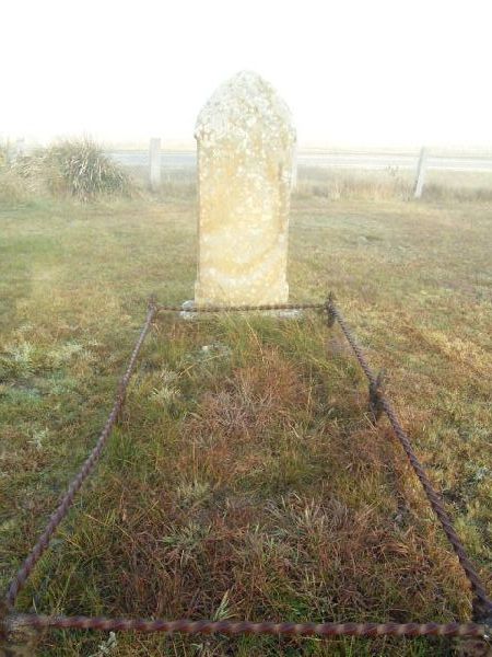Full-size image