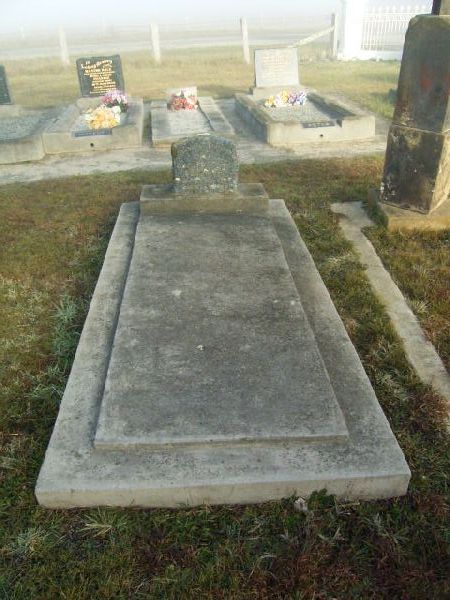 Full-size image
