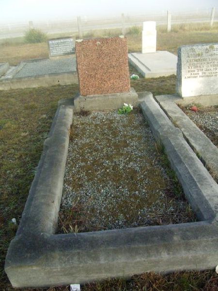 Full-size image