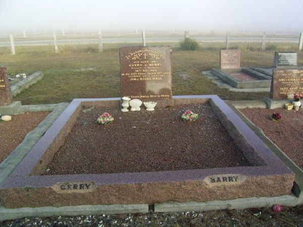 Full-size image