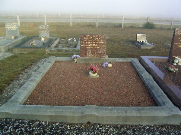 Full-size image