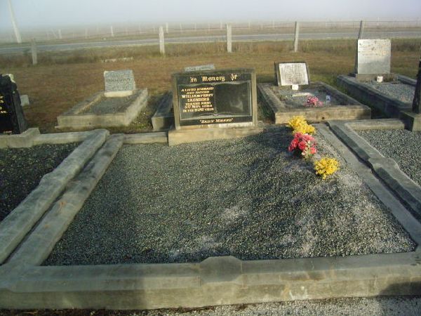 Full-size image