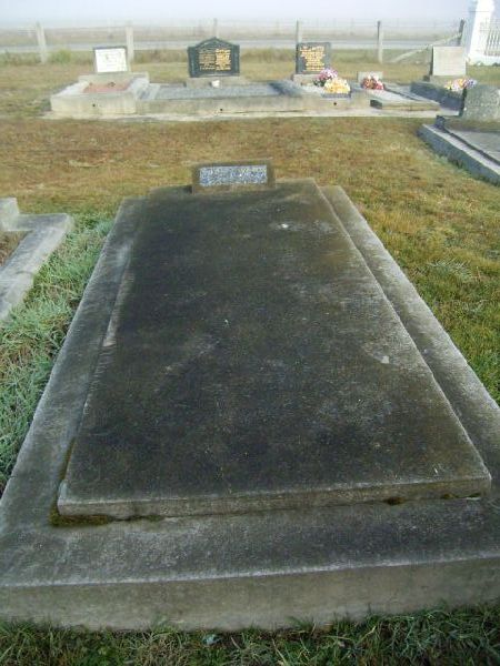 Full-size image