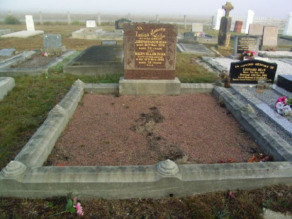 Full-size image