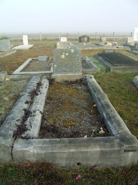 Full-size image
