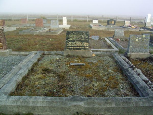 Full-size image
