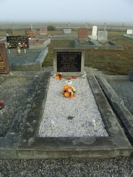 Full-size image