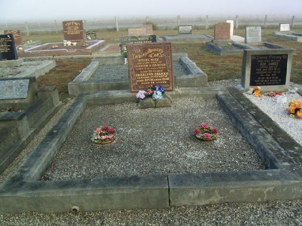 Full-size image