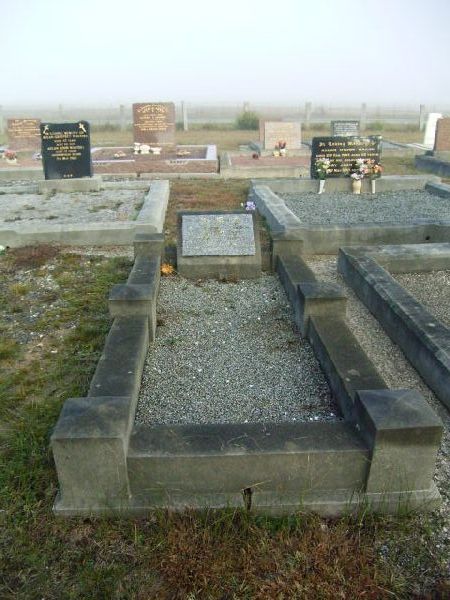Full-size image