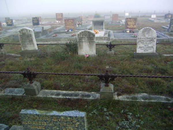 Full-size image