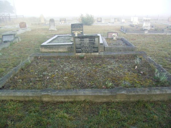Full-size image