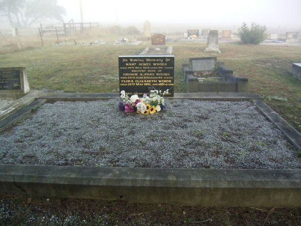 Full-size image