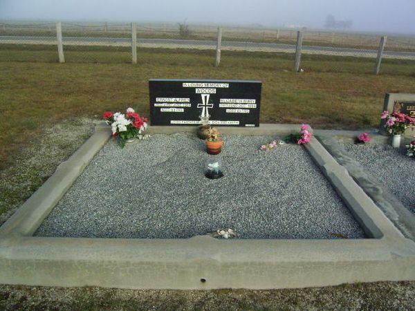 Full-size image