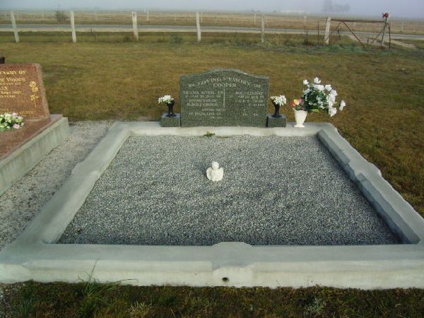 Full-size image