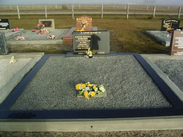 Full-size image