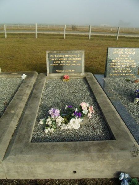 Full-size image