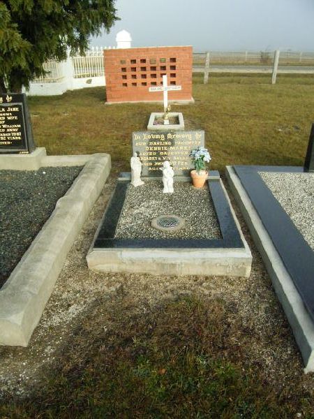 Full-size image
