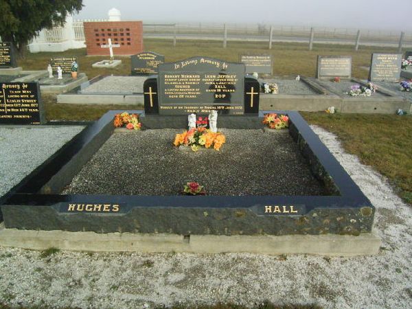 Full-size image