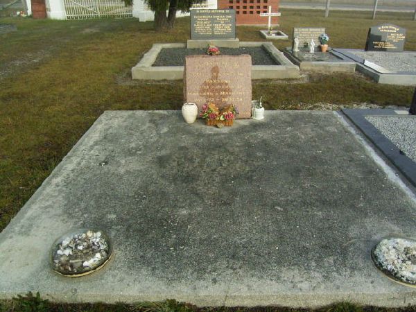 Full-size image