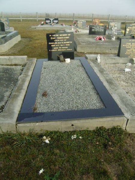 Full-size image