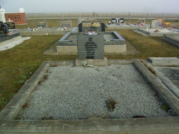 Full-size image