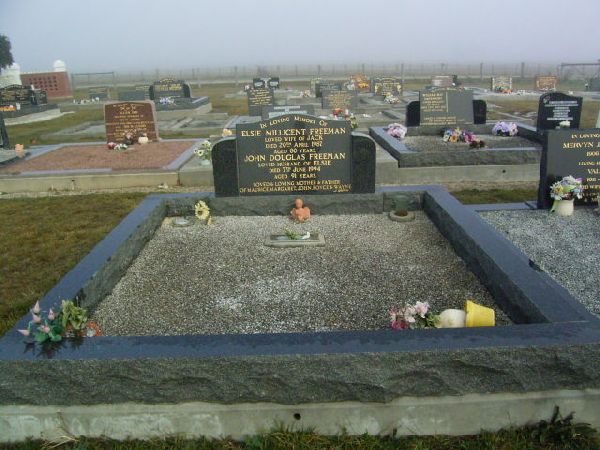 Full-size image