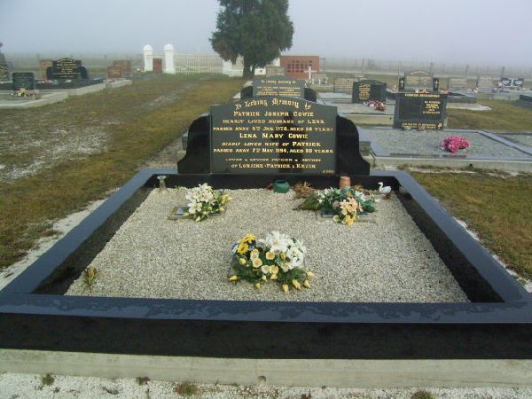 Full-size image