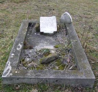 Full-size image