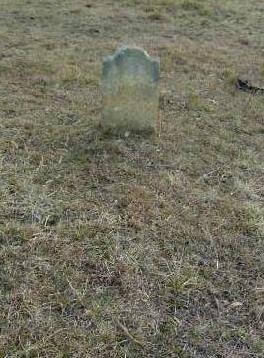 Full-size image