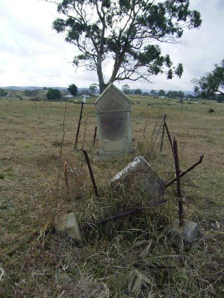 Full-size image
