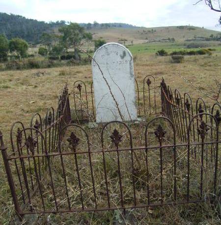 Full-size image
