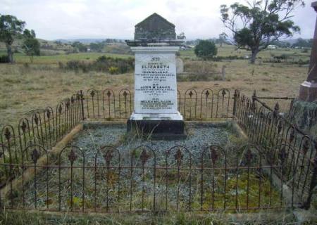 Full-size image