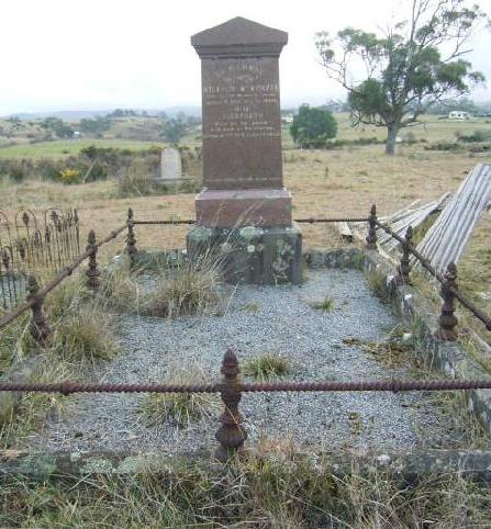 Full-size image
