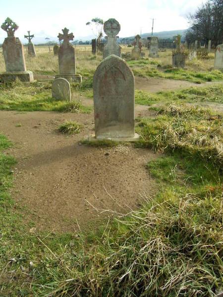 Full-size image
